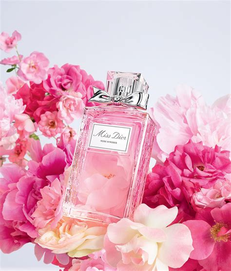 dior natural rose|Dior rose blooming flowers.